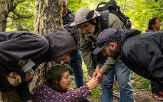 El rol de la sociedad civil según cierta mirada: Entre organizaciones buenas y organizaciones malas