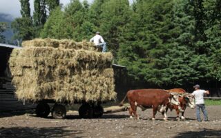 O’Higgins, tierra y dignidad: El lazo inquebrantable de la DC con el Chile rural