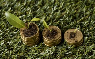 Economía ecológica, buenos vivires y bio-regionalismos: repensar la economía en Chile