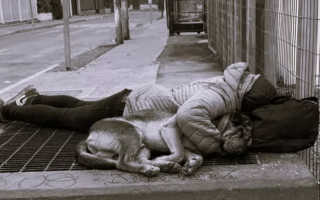 Cuando sobrevivir ocupa el lugar de vivir